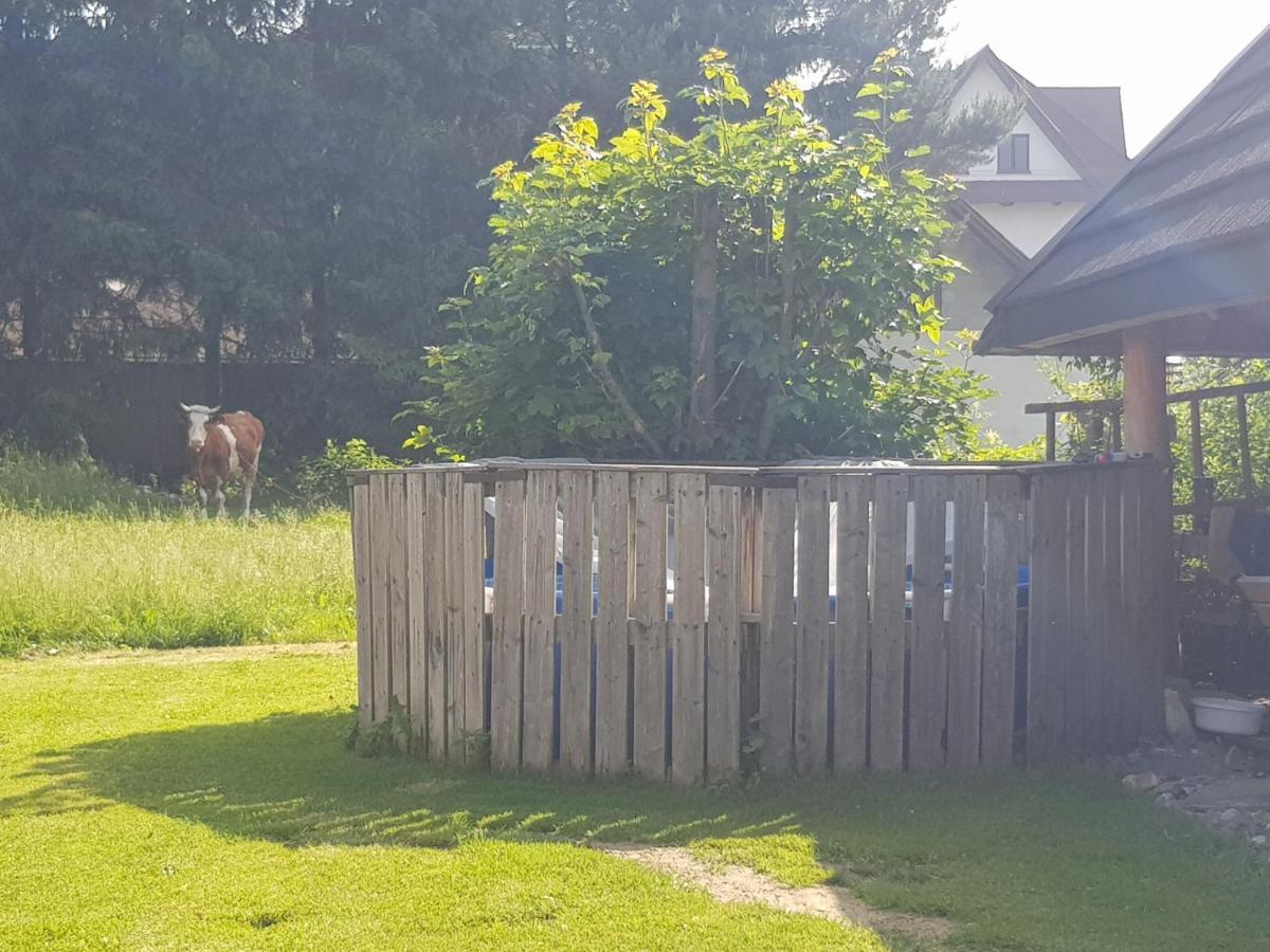 Ranczo Pod Babia Gora Lägenhet Lipnica Wielka Exteriör bild