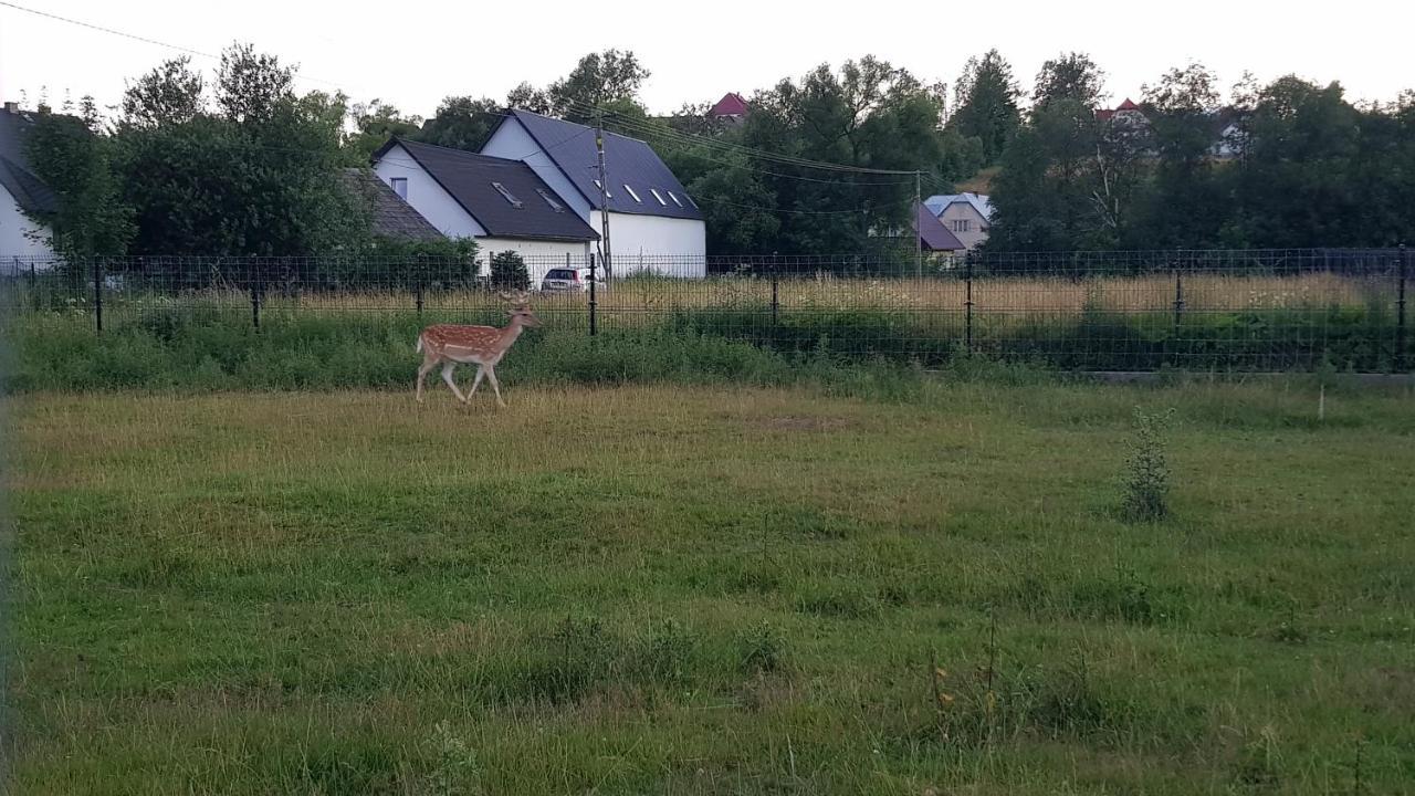 Ranczo Pod Babia Gora Lägenhet Lipnica Wielka Exteriör bild